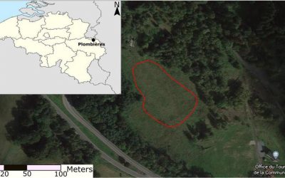 Can historic Zn–Pb mine waste (Plombières, Belgium) be a source of valuable metals?