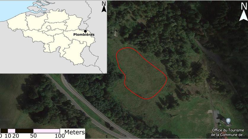 Can historic Zn–Pb mine waste (Plombières, Belgium) be a source of valuable metals?